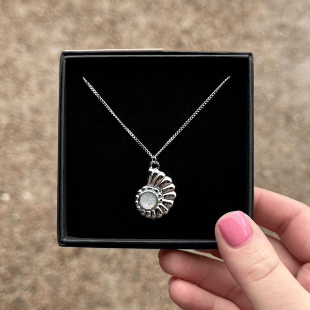 Seashell Necklace
